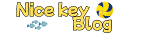 NicekeyBlog(ナイスキーブログ)